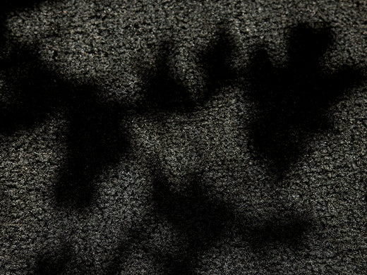 Ruckstuhl PORTA Kokos-Schmutzschleuse in 70003 Schwarz – Produktansicht