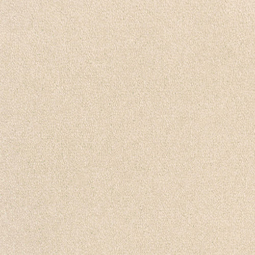 20428 champagne