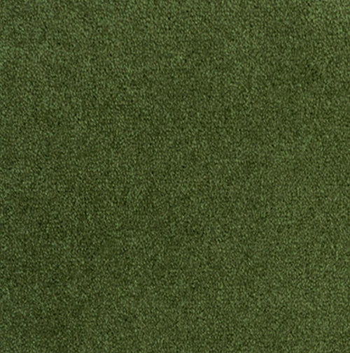 40181 olive