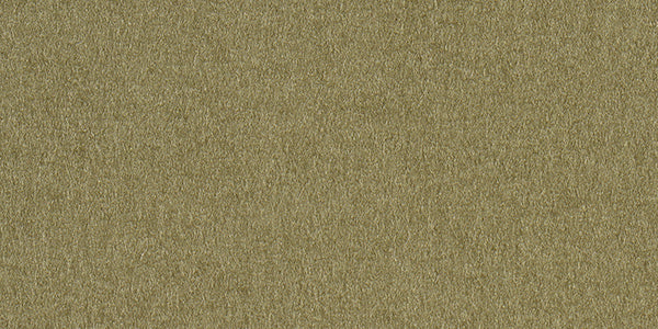 Materialvorschau der Ruckstuhl Einfassung Wollfilz in 40157 – Schilf
