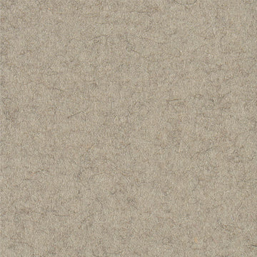 60302 taupe meliert