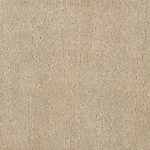 20383 beige
