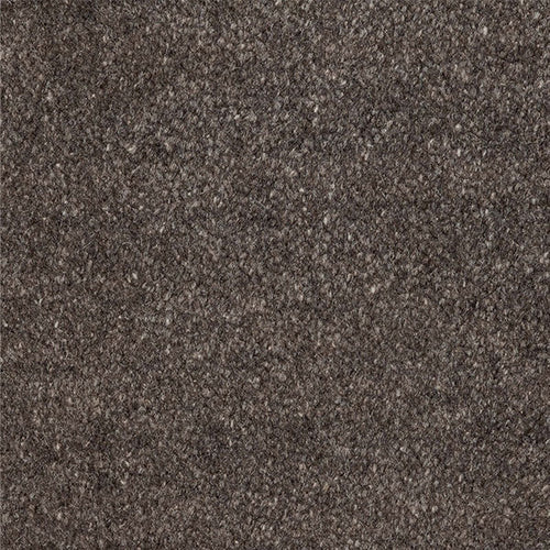 20444 warm grey