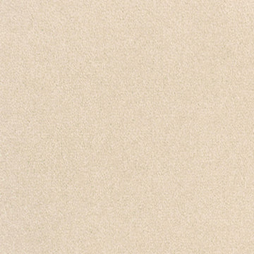 20428 champagne