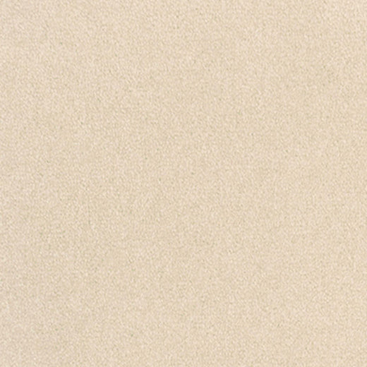 20428 champagne