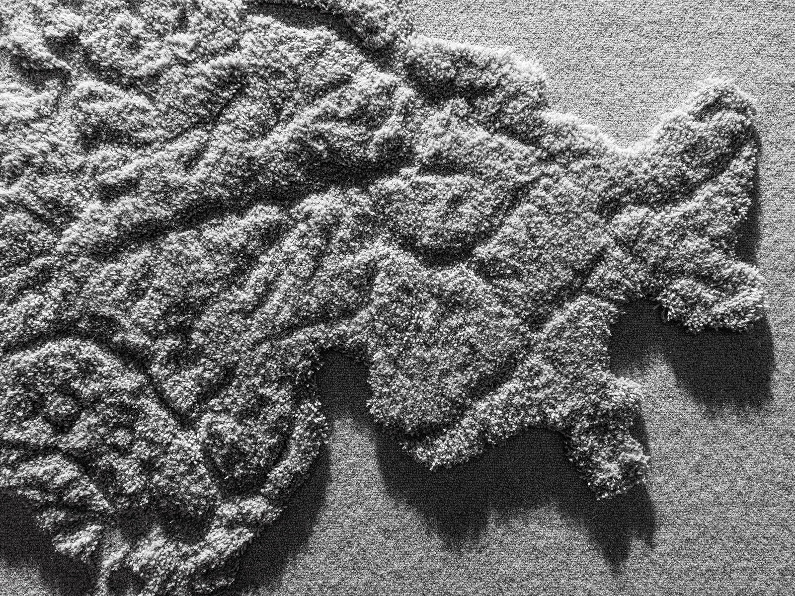 Switzerland in Wool