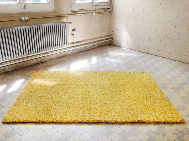 Ruckstuhl Teppich Wolle Piu 503 pastellgelb Porzi
